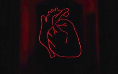 Zrádné lidské srdce